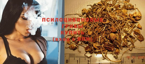 бошки Алексеевка