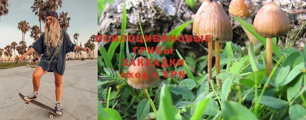 бошки Алексеевка