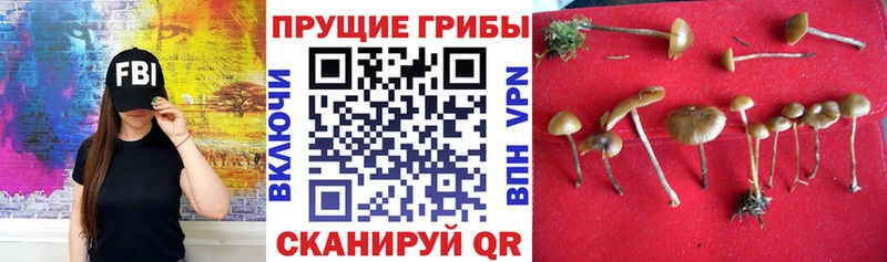 Псилоцибиновые грибы мухоморы Белоозёрский
